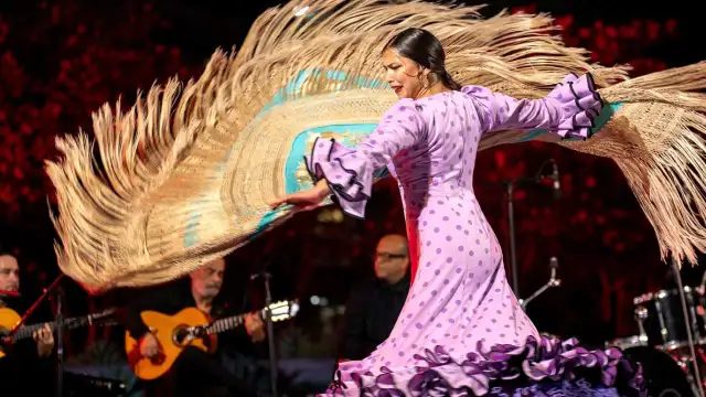 aca 2627 jess muoz flamenco 1280